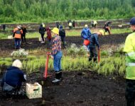 yritysten-edustajat-metsanistutuksessa-kovalansuolla