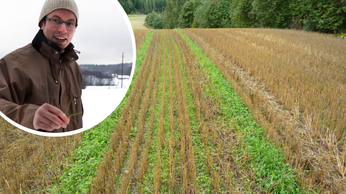 artikkelikerääjäkisa