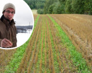 artikkelikerääjäkisa