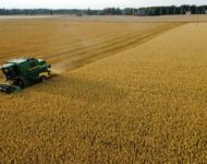 dji_fly_20220819_193104_169_1675504486159_photo_optimized__01