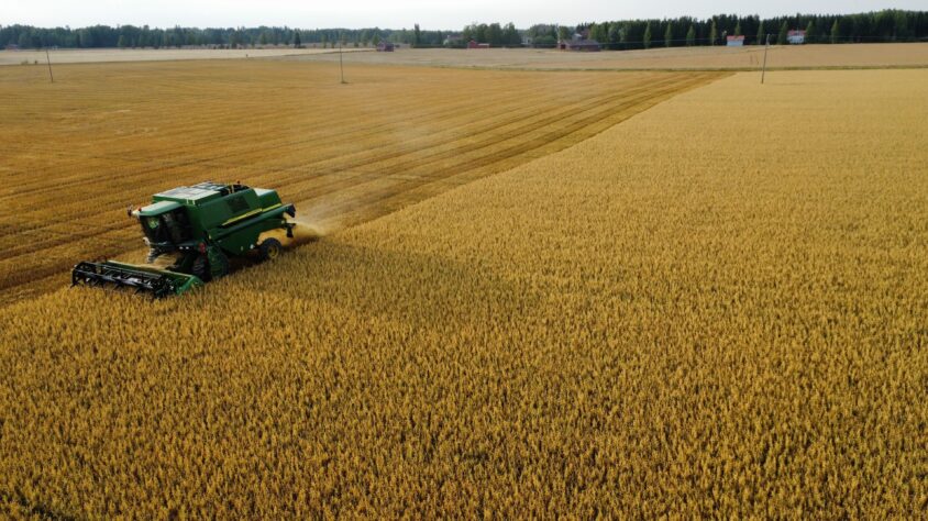 dji_fly_20220819_193104_169_1675504486159_photo_optimized__01