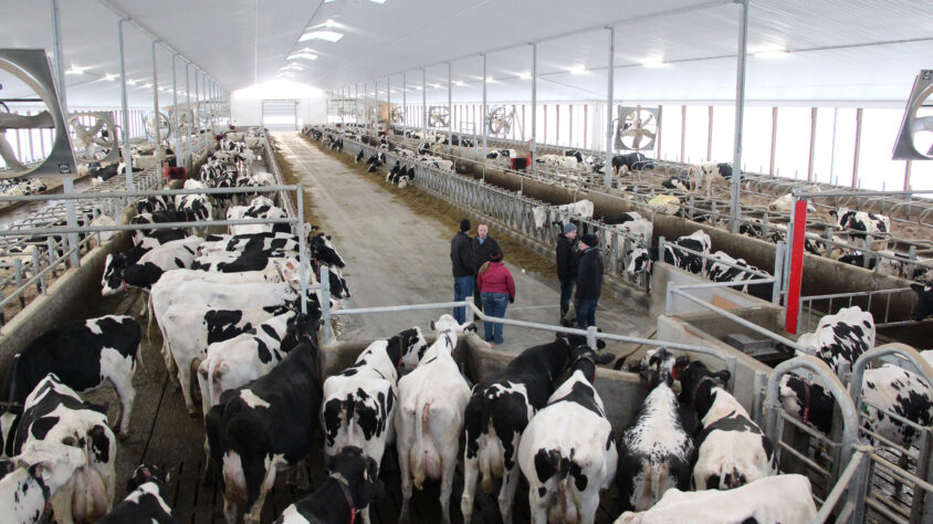 LR Robot Dairy-Barn-(2) (1)