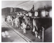 delaval2