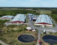 dji_fly_20230522_153540_508_1684759011365_photo_optimized