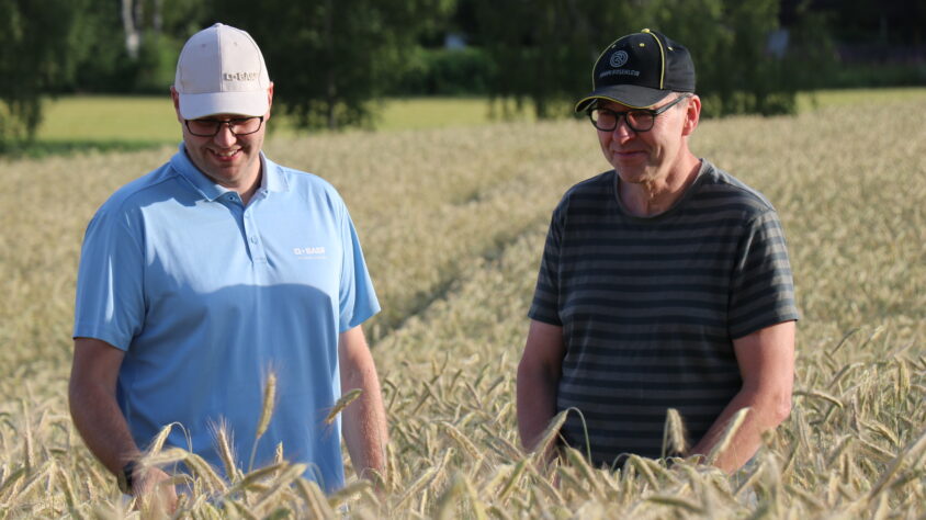 AgrimediaRuisMäkil01