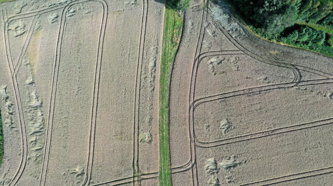 AgrimediaRuisPää01