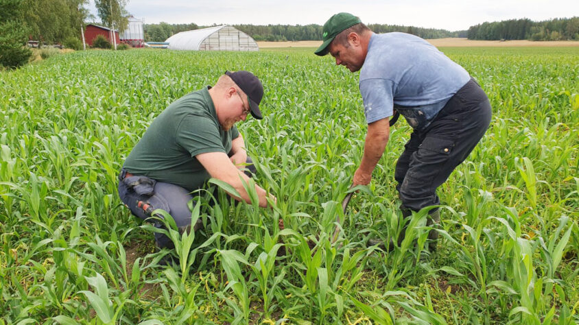 220230803-111815-1500×841