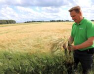 AgrimediaKasvinsuojelu01