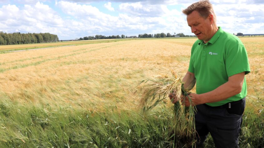 AgrimediaKasvinsuojelu01