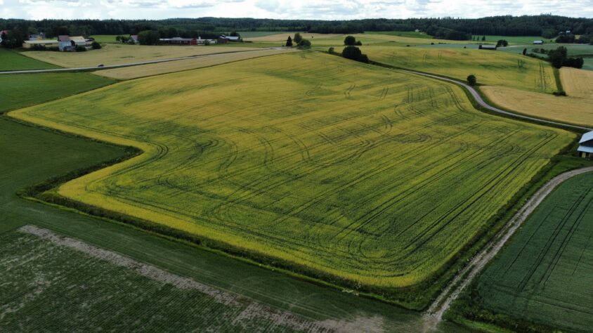 dji_fly_20230719_141348_904_1689765251050_photo_optimized