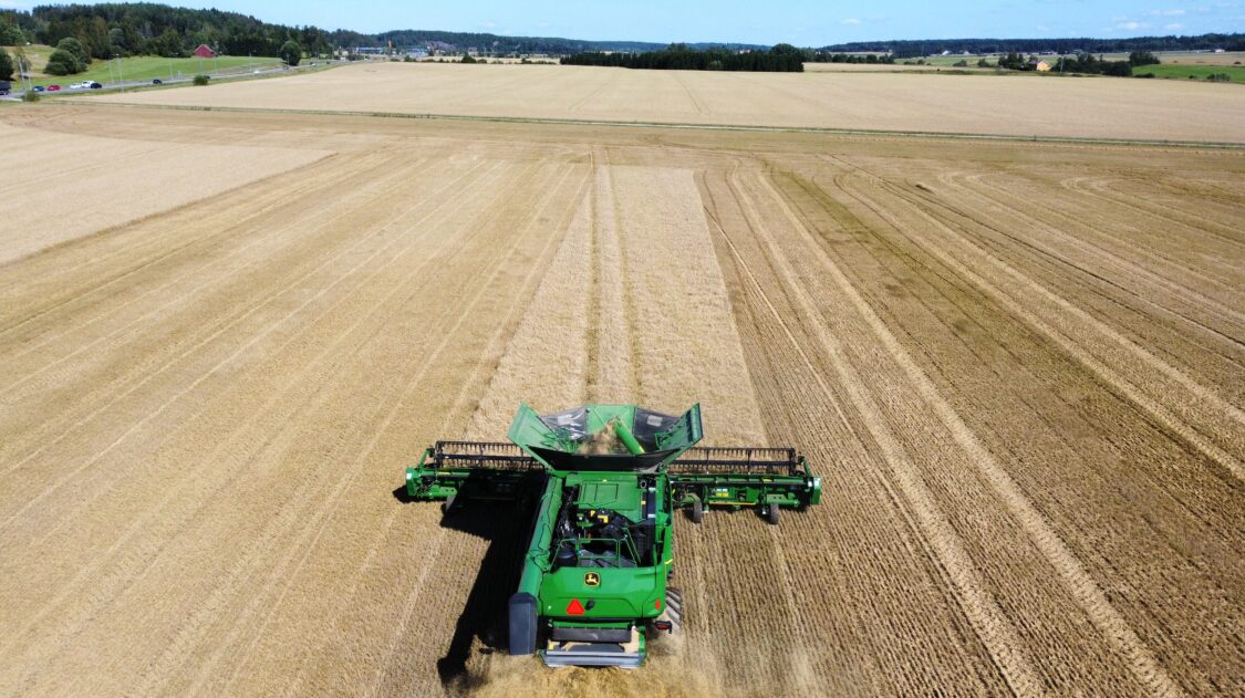 dji_fly_20230815_133842_116_1692095988203_photo_optimized