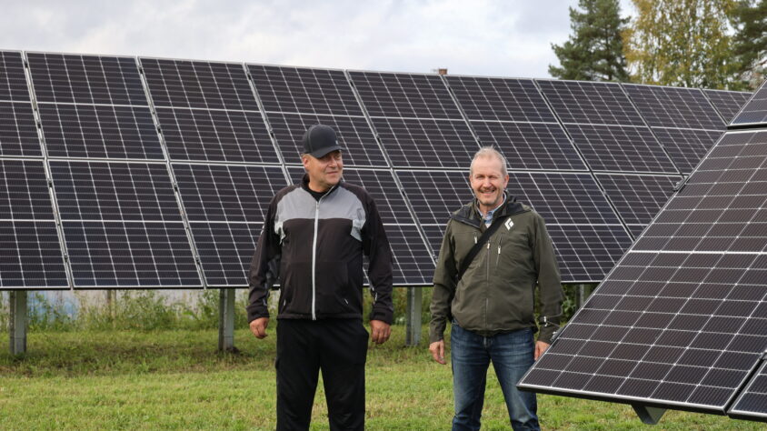 Viinasen aurinkopaneelit (1)