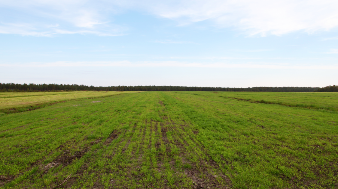 visa_37_2023_paakuva