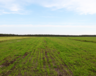 visa_37_2023_paakuva