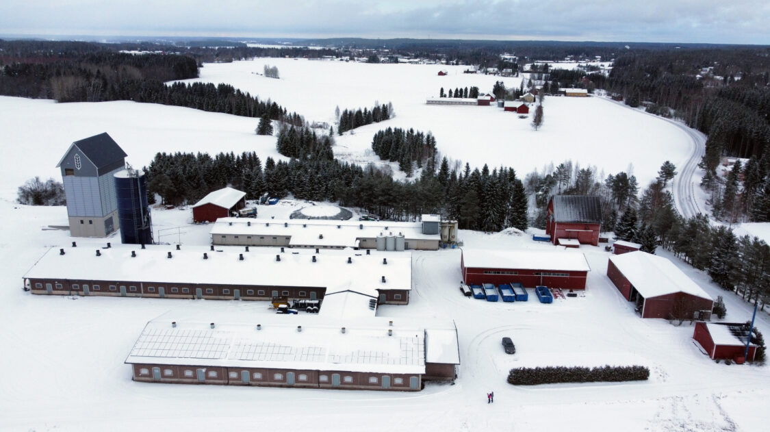 dji_fly_20230310_110842_91_1678439332525_photo_optimized