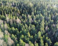 dji_fly_20231116_121006_797_1700129454144_photo_optimized