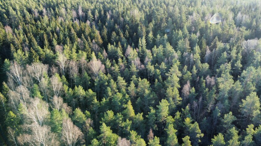 dji_fly_20231116_121006_797_1700129454144_photo_optimized