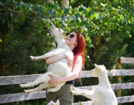 1956B7FE-9DD8-40A9-90C1-BD08790E35E1