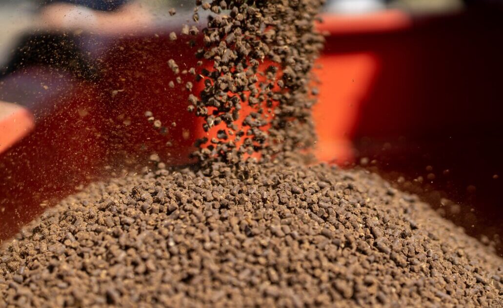 4f0ec84a-9379-4c3d-bf27-8ee0cf8f5889