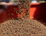 4f0ec84a-9379-4c3d-bf27-8ee0cf8f5889