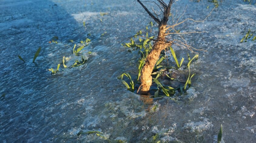 PHOTO-2024-02-04-22-16-32