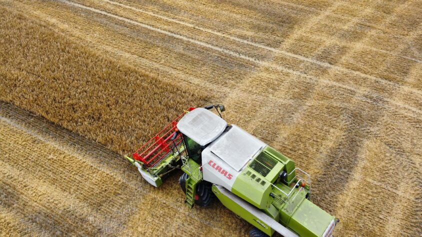 RemoteMediaFile_6619250_0_2022_08_03_13_48_56