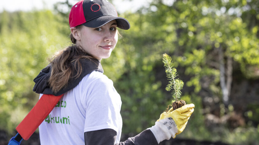 Taimiteko 33_kuva Tiina Rinne