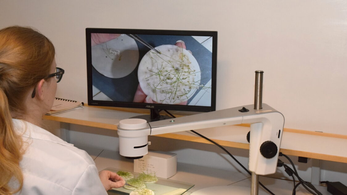 2019 03 05 Kuva Tarja Hietaranta (5)