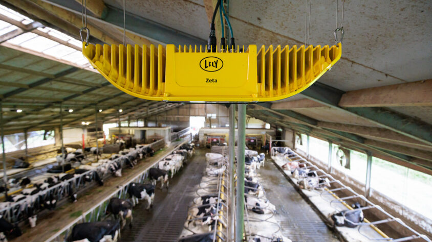 Lely Zeta, Boerderij Blokland, Goudriaan