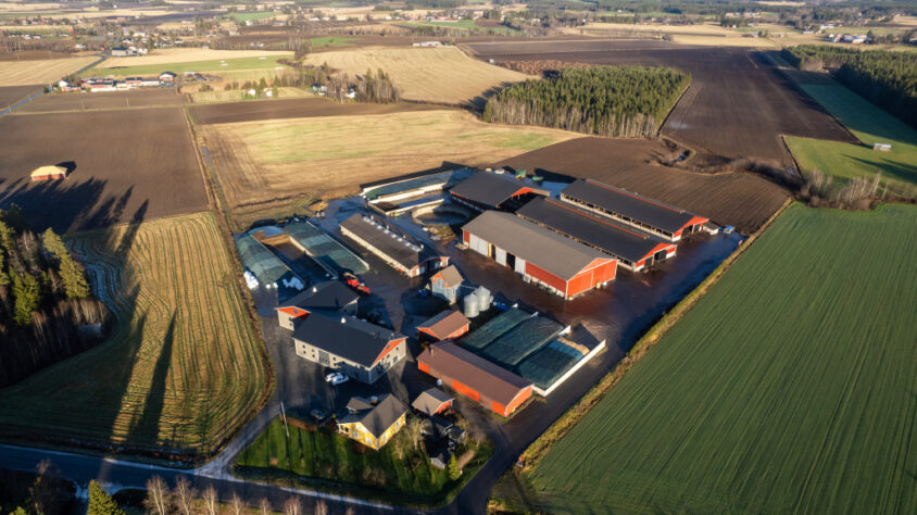 ilkan_tila_artikkelikuva