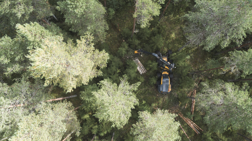 1503dcb9-7446-40f3-bf63-535f5e8a433d