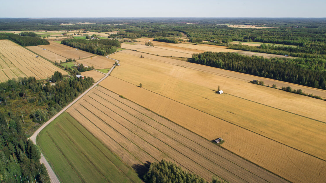 190829_Kiehuvantie_189_017-3-scaled