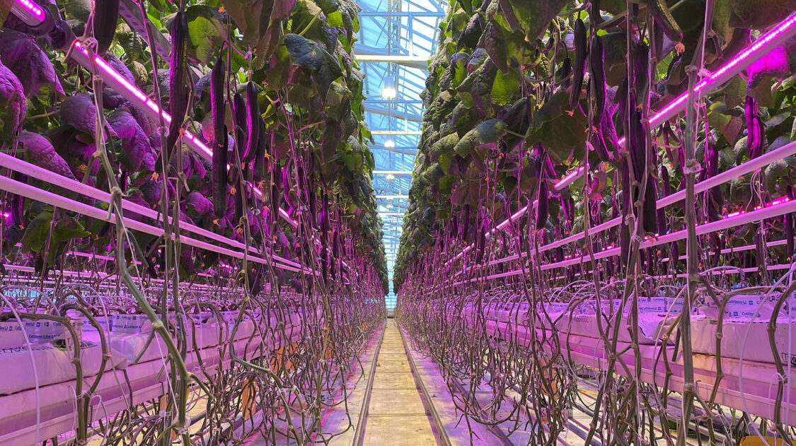 db699c8e-4acd-43c0-86e1-4998f4c56261