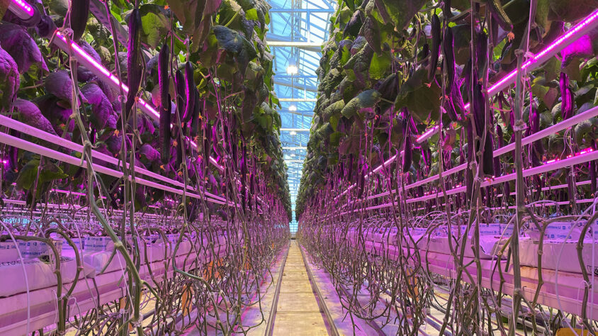 db699c8e-4acd-43c0-86e1-4998f4c56261