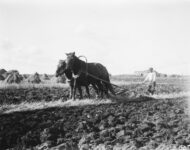 museovirasto.1810E623152FFA94127FB679AF448CAA-0-master