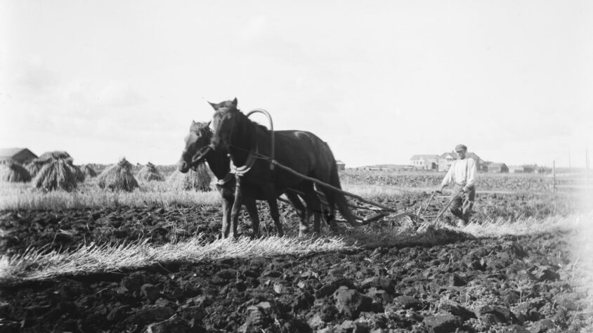 museovirasto.1810E623152FFA94127FB679AF448CAA-0-master