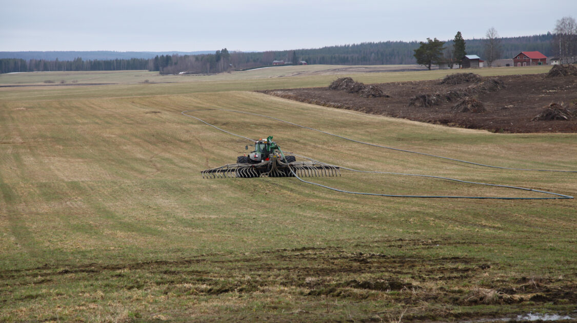 vetoletkulevitys (2)