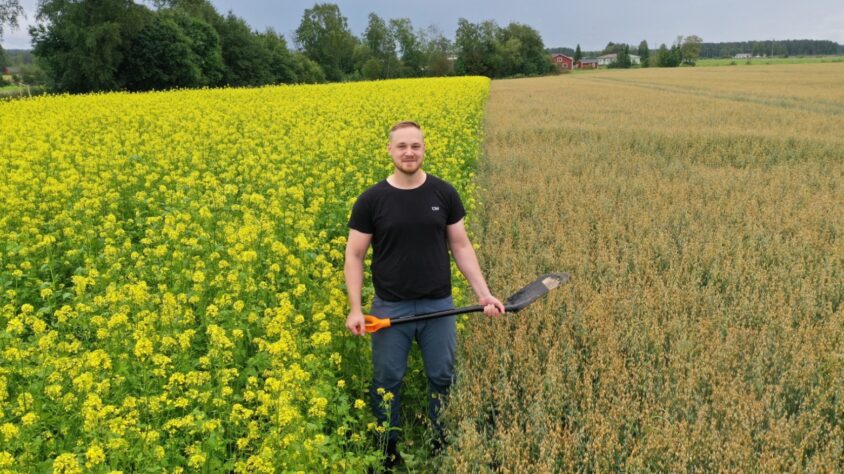 Screenshot_2025-02-02-17-26-39-88_6012fa4d4ddec268fc5c7112cbb265e7