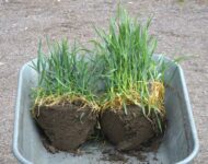 Ruis kottikärryt 4.5.2025