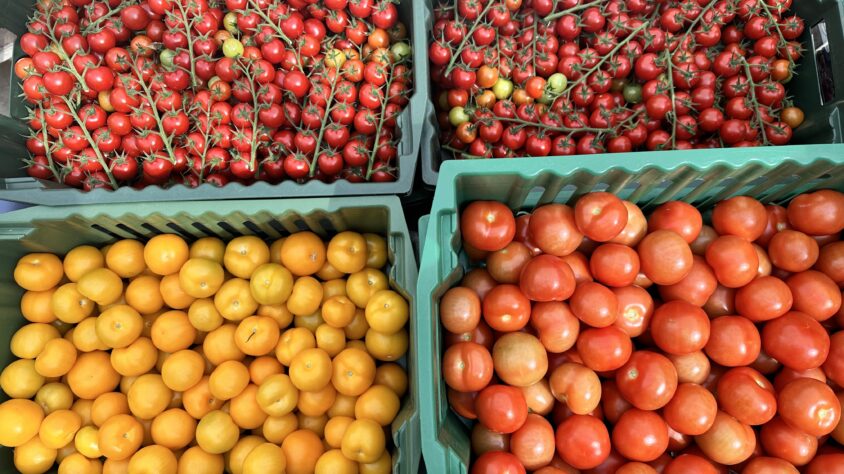 Kuva: Tuomas Peuravaara / Peuravaaran Puutarha