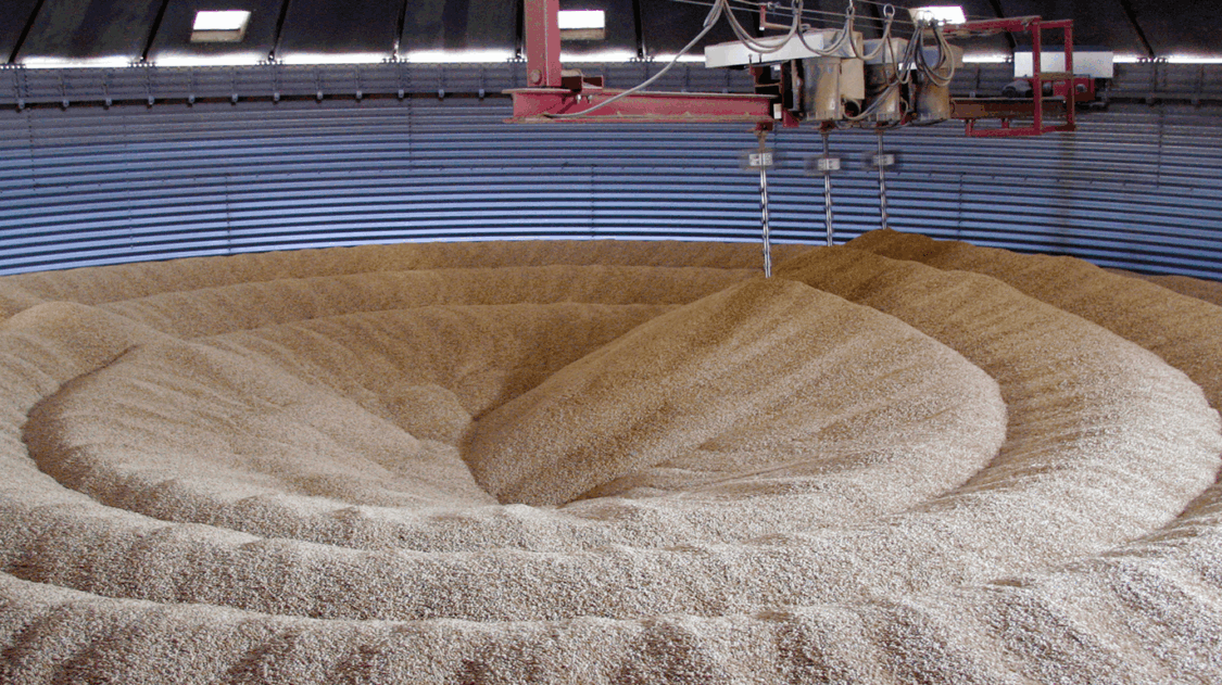 kuivaava-siilo-sisapuolelta-e1749645044205