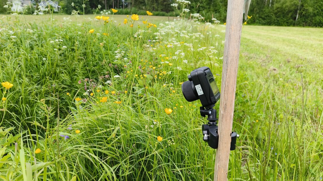 Time-lapse camera_Heli Lehtinen