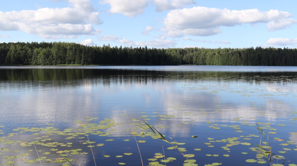 järvimaisema