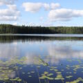 järvimaisema