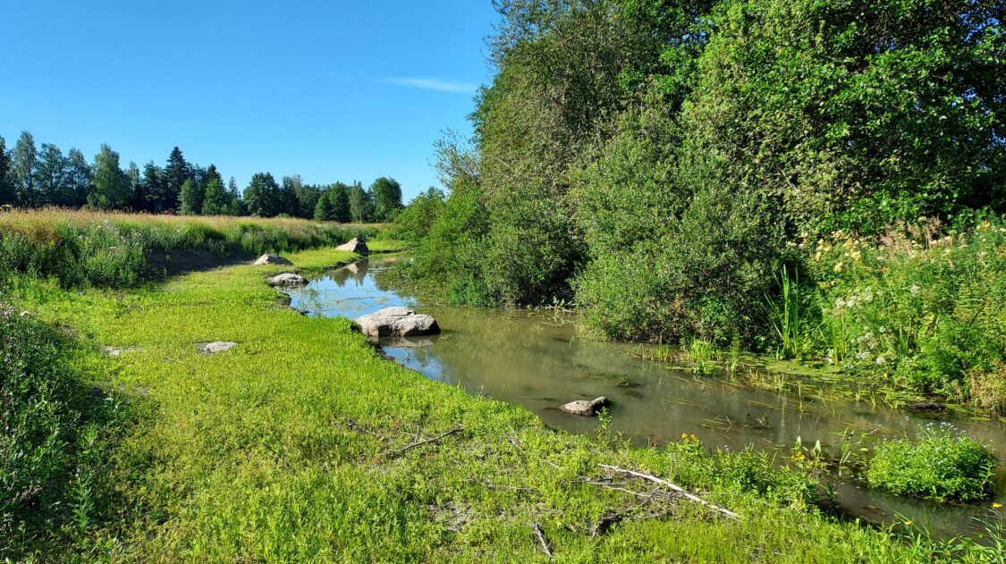 Loviisanjoki tulvatasanne