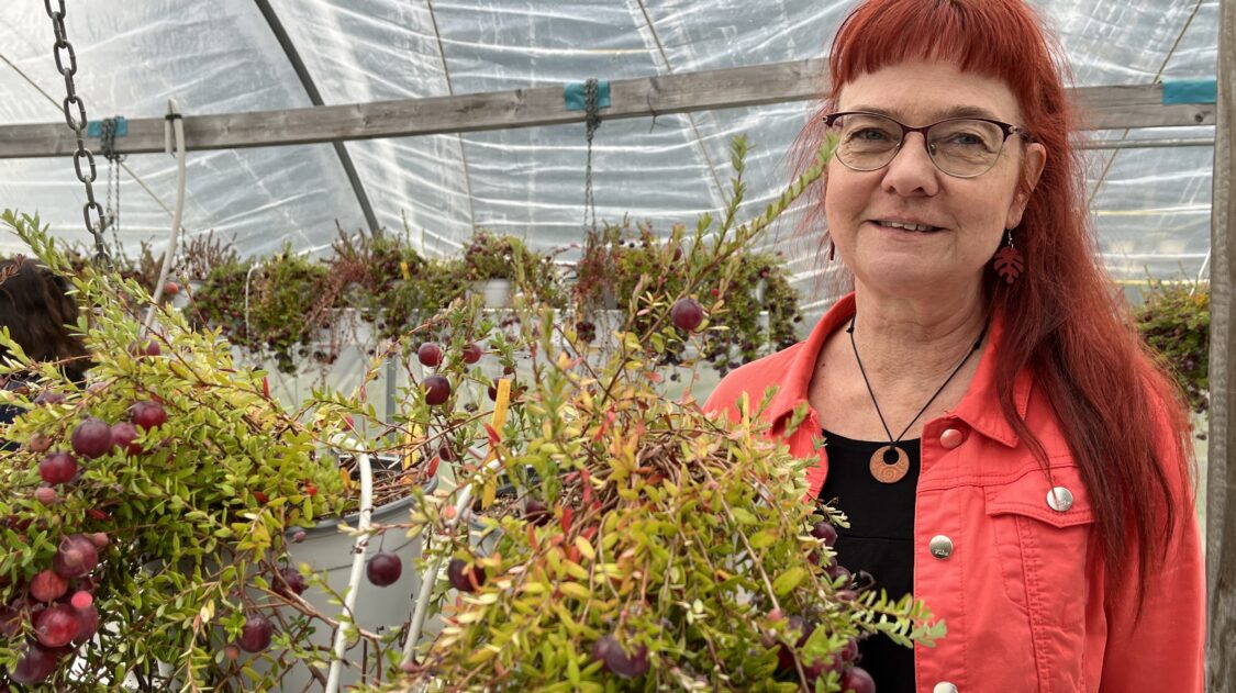 Pauliina Palonen, puutarhakarpalo