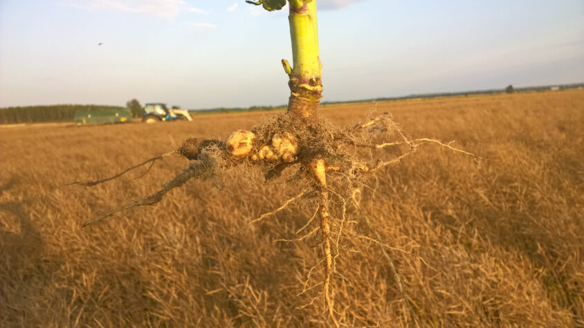 WP_20180909_18_50_14_Pro