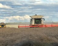 c771241a-b8e8-4f9b-9618-f9cf99a920c4