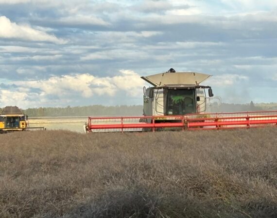 c771241a-b8e8-4f9b-9618-f9cf99a920c4