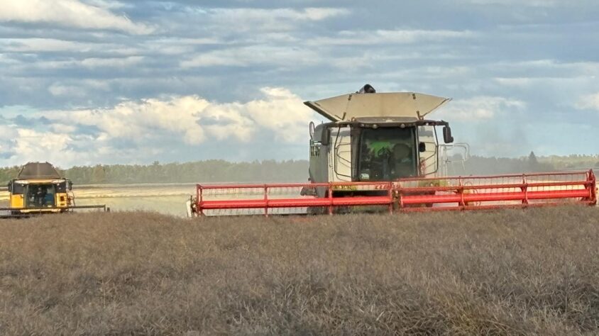 c771241a-b8e8-4f9b-9618-f9cf99a920c4